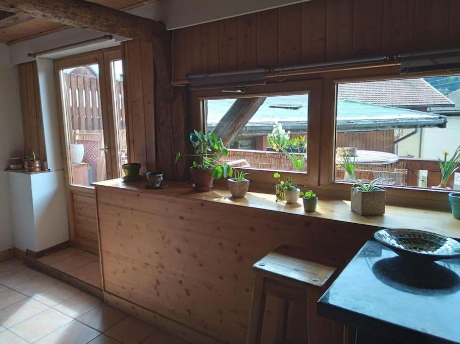 Apartment Duplex 70m2,type Savoyard